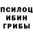 Псилоцибиновые грибы Cubensis kenali kaneki