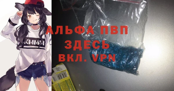 соль ск Ладушкин