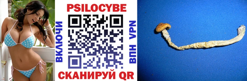где найти Урень Псилоцибиновые грибы ЛСД